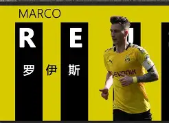 爱游戏平台-贝林厄姆庆祝图片